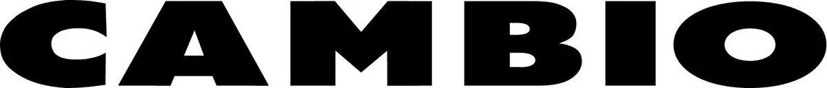 cambio logo original